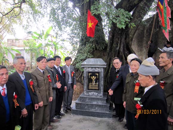 30[-]NĂM[-]VACNE:[-]Vinh[-]danh[-]Cây[-]Di[-]sản[-]Việt[-]Nam[-]tại[-]Hà[-]Nội,[-]Thừa[-]Thiên[-]-[-]Huế,[-]Hải[-]Dương,[-]Hải[-]Phòng,[-]Cao[-]Bằng,[-]Phú[-]Thọ,[-]Hòa[-]Bình,[-]Bắc[-]Ninh,[-]Vĩnh[-]Phúc,[-]Nghệ[-]An[-]